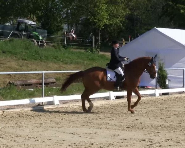 Großes Reit- und Springturnier Bühren-Breckerfeld 2014