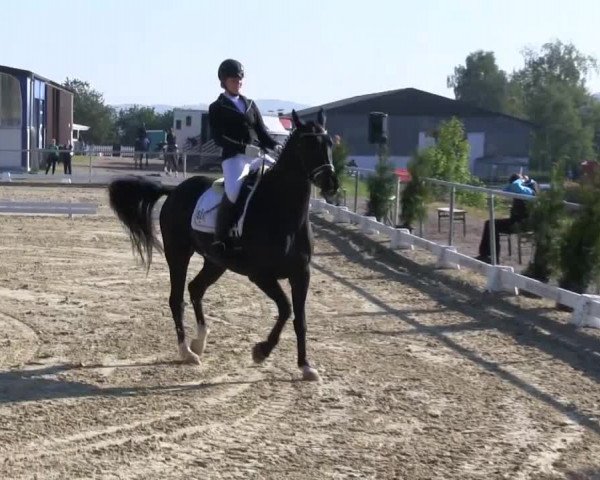 Großes Reit- und Springturnier Bühren-Breckerfeld 2014