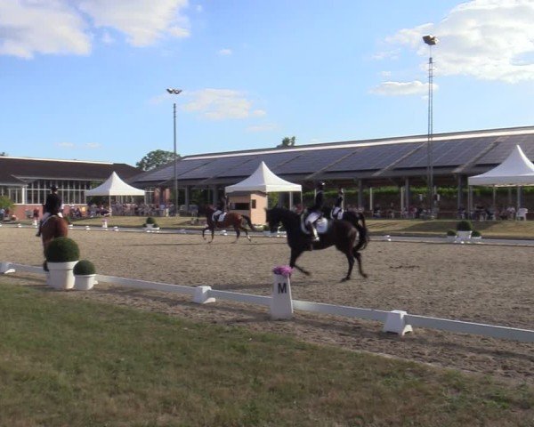 Reitturnier Langenfeld 2025
