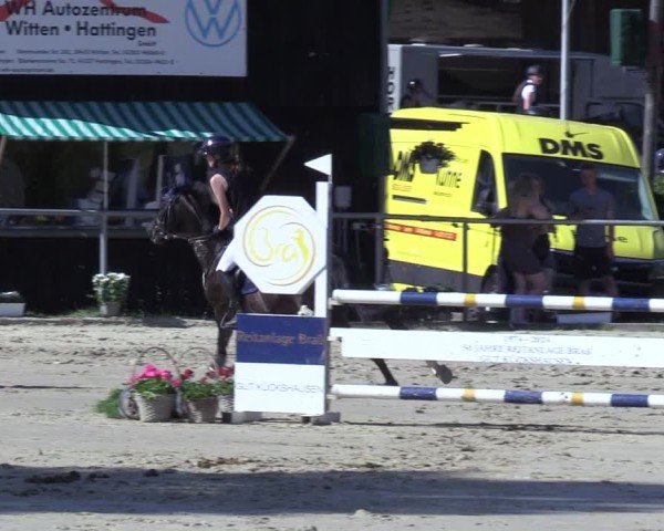 Reitturnier Schwerte-Gut Kückshausen 2025