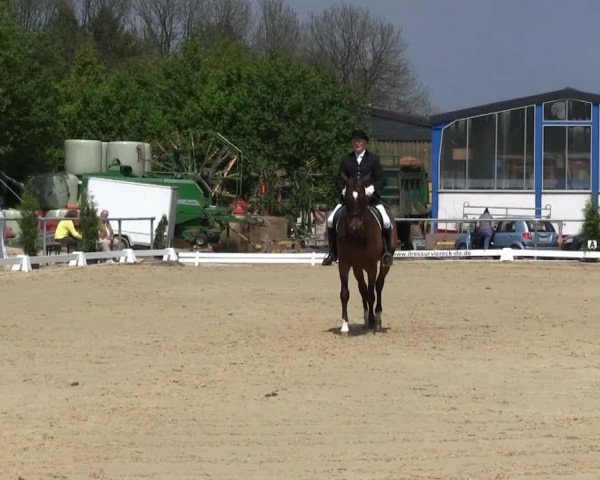 Großes Reit- und Springturnier Bühren-Breckerfeld 2014