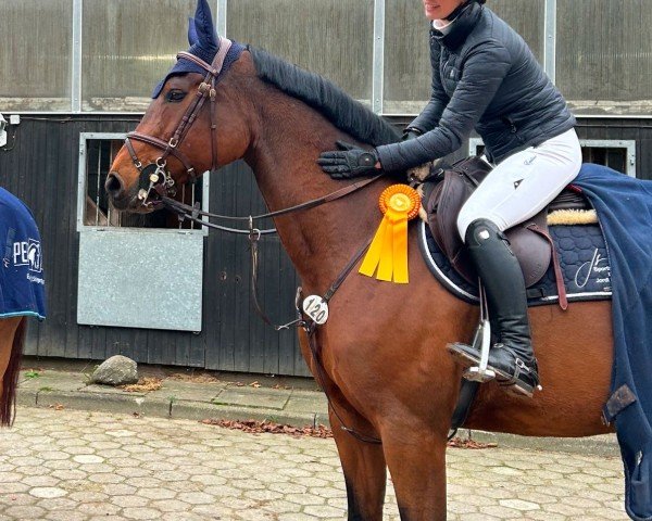 broodmare Corienne (Hanoverian, 2017, from Comme il Faut)