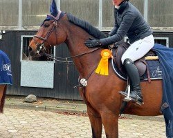broodmare Corienne (Hanoverian, 2017, from Comme il Faut)