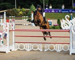 jumper Chaverto (Oldenburg, 2011)