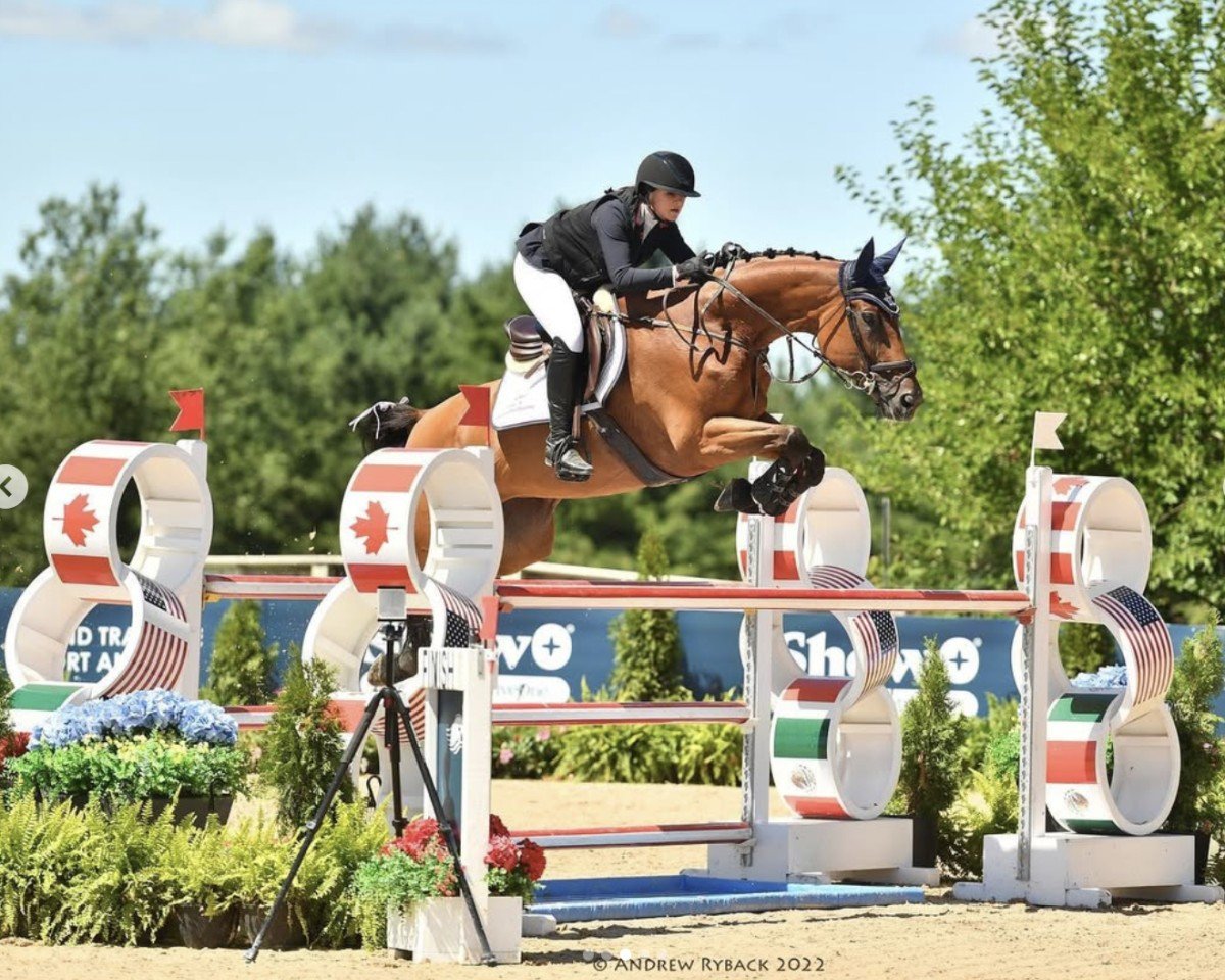 jumper Joyce vd Bisschop (Belgian Warmblood, 2009, from Ogano Sitte)