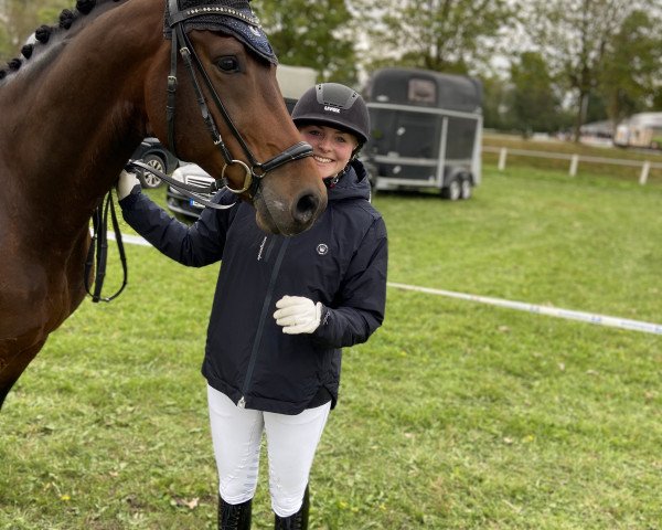 Dressurpferd Gin Tonic 167 (Westfale, 2015, von Goldberg)