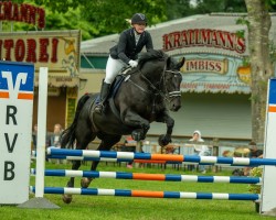jumper Wendigo Suprime (Sachs-door. Heavy Warmbl., 2017, from Wotan)