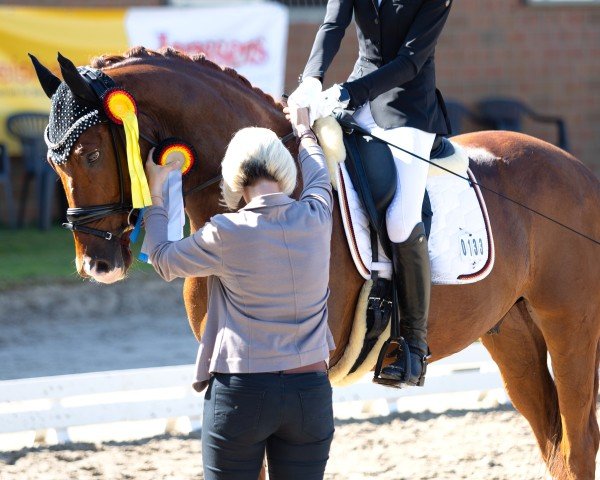 Dressurpferd Total Genial 2 (KWPN (Niederländisches Warmblut), 2020, von Farrell)