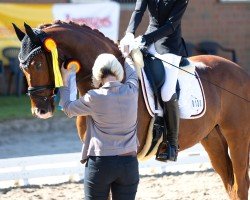 dressage horse Total Genial 2 (KWPN (Royal Dutch Sporthorse), 2020, from Farrell)