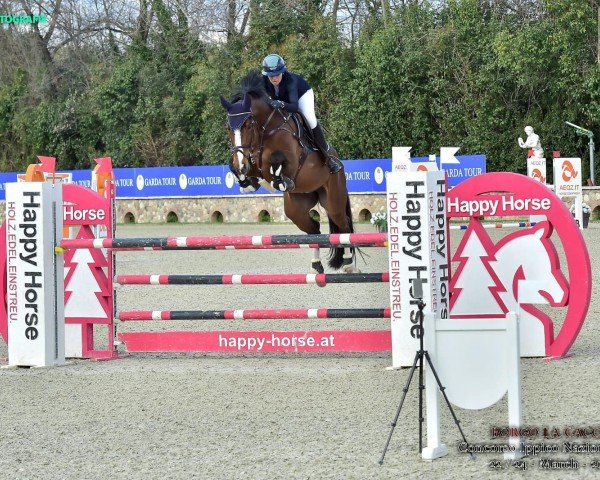 jumper Cartier de La Limite (Oldenburg show jumper, 2018, from Carleyle)
