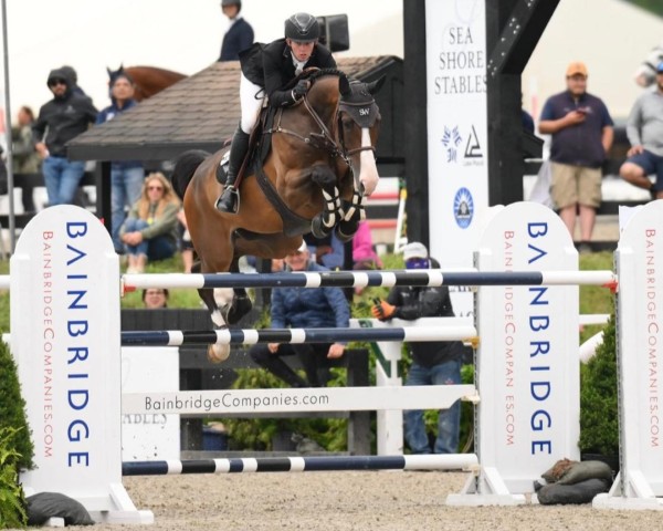 jumper Carruso Pj (Hanoverian, 2016, from Carridam)