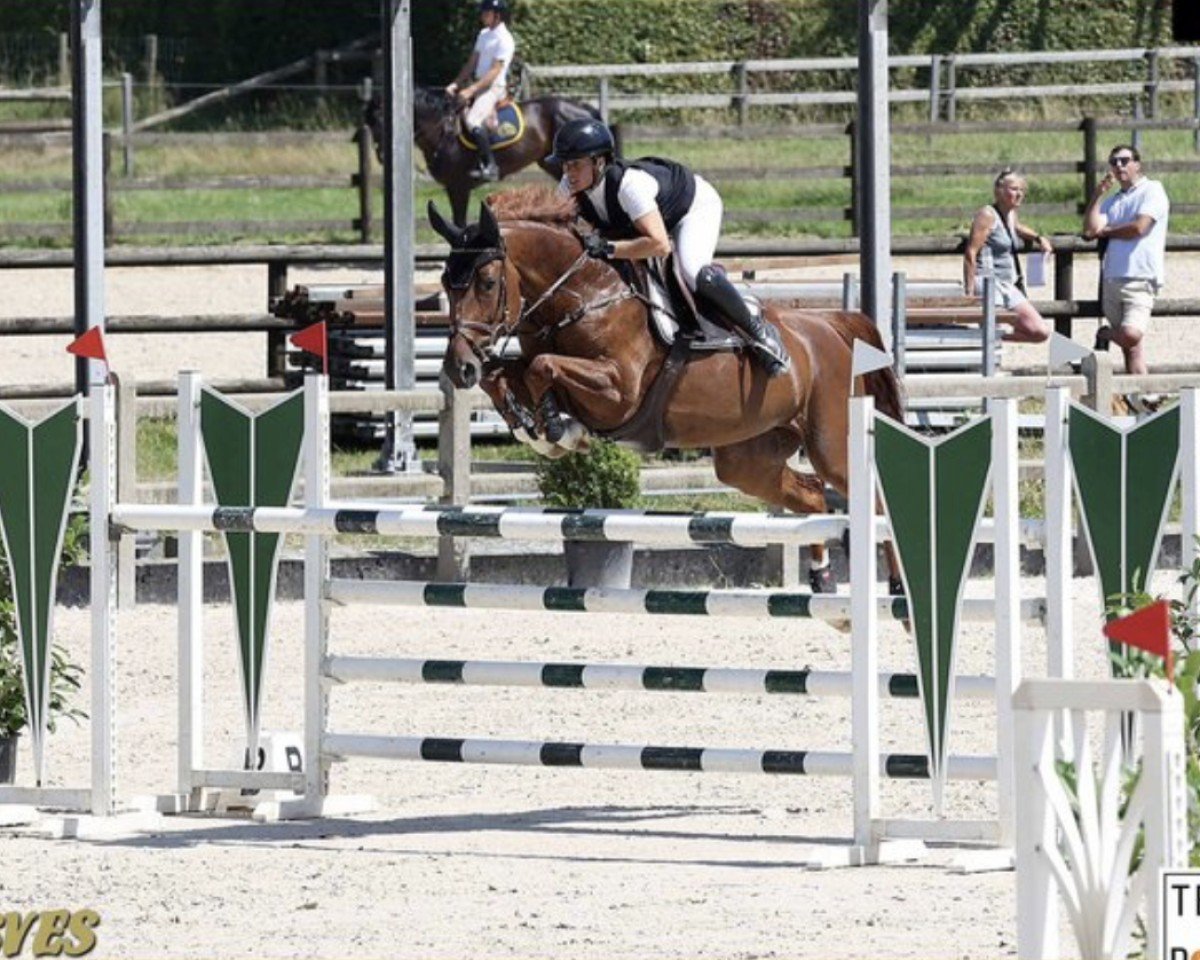 jumper Extra Emerald Edc Z (Zangersheide riding horse, 2018, from Emerald van 't Ruytershof)