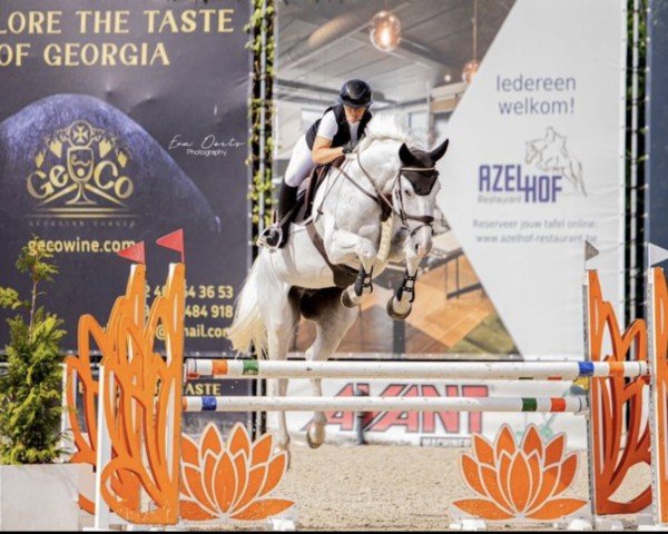 jumper Champagne de La Limite Z (Zangersheide riding horse, 2019, from Centurio 22)