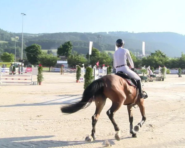 Reitturnier Balsthal 2025