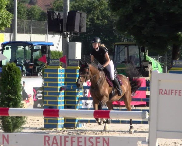 Reitturnier Balsthal 2025