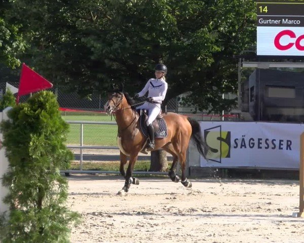 Reitturnier Balsthal 2025