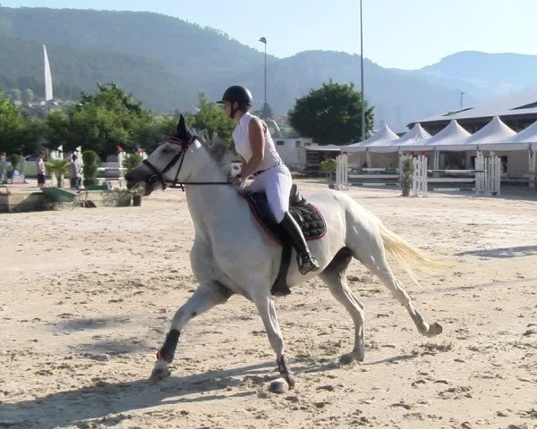 Reitturnier Balsthal 2025