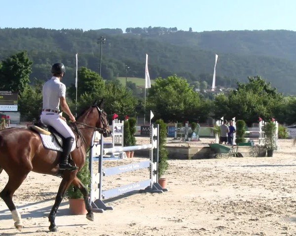 Reitturnier Balsthal 2025