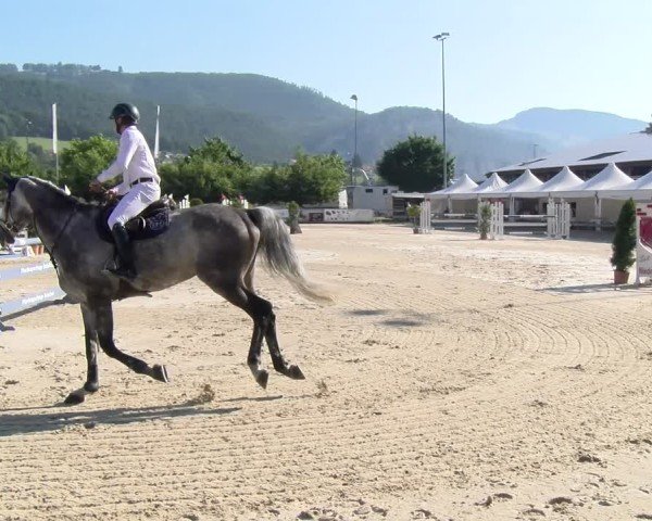 Reitturnier Balsthal 2025