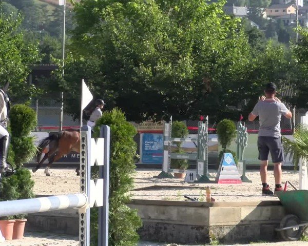 Reitturnier Balsthal 2025