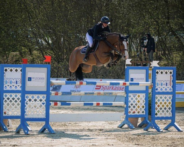 Springpferd Copacabana 59 (Oldenburger, 2015, von Casallco)