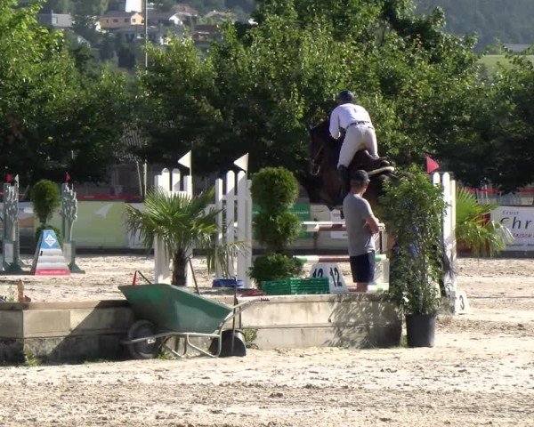Reitturnier Balsthal 2025