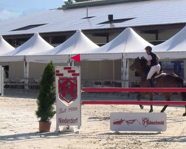 Reitturnier Balsthal 2025