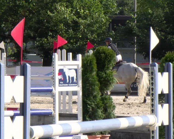 Reitturnier Balsthal 2025