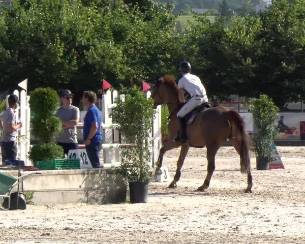 Reitturnier Balsthal 2025
