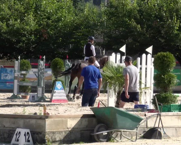 Reitturnier Balsthal 2025