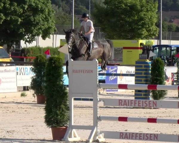 Reitturnier Balsthal 2025