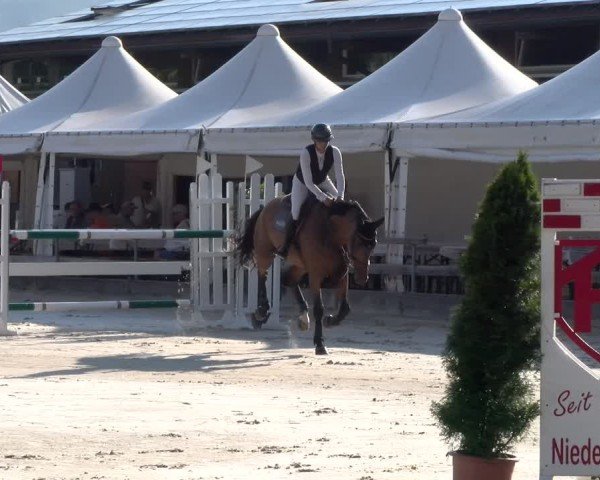 Reitturnier Balsthal 2025
