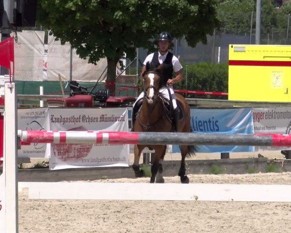 Reitturnier Balsthal 2025