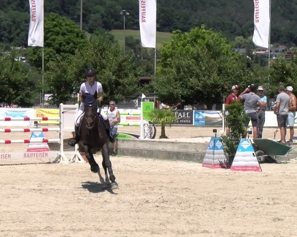 Reitturnier Balsthal 2025