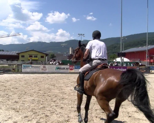 Reitturnier Balsthal 2025