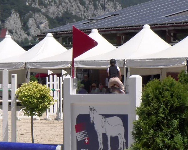 Reitturnier Balsthal 2025