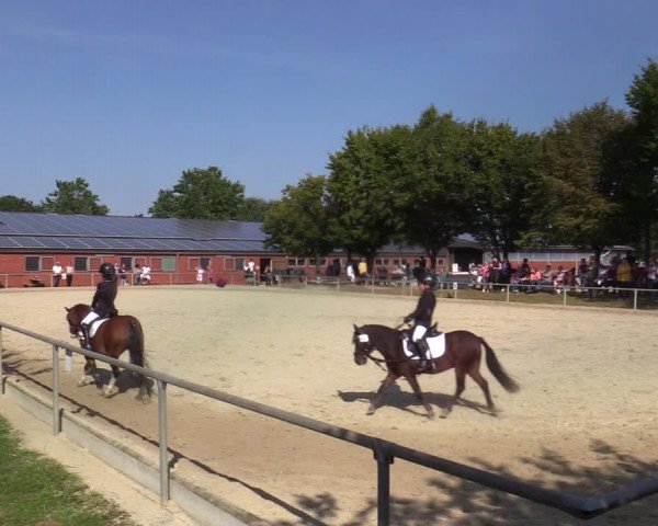 Reitturnier Ascheberg 2021