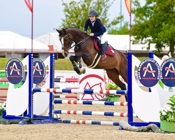 jumper Miss Clooney 2 (Oldenburg show jumper, 2018, from Clooney)