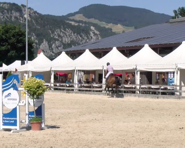 Reitturnier Balsthal 2025