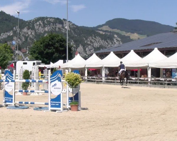 Reitturnier Balsthal 2025