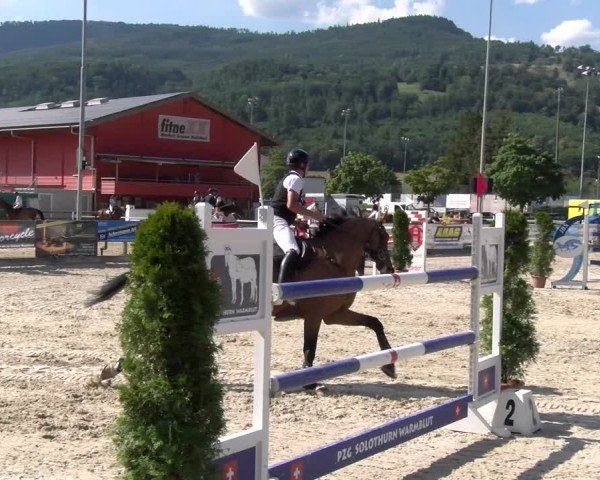 Reitturnier Balsthal 2025