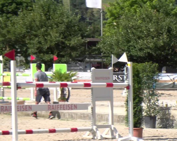 Reitturnier Balsthal 2025