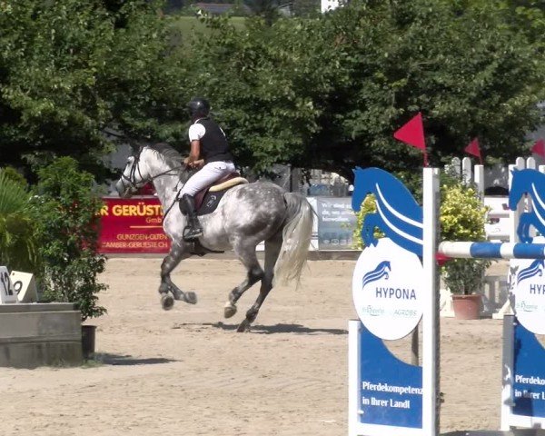 Reitturnier Balsthal 2025