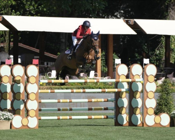 jumper Lady D (KWPN (Royal Dutch Sporthorse), 2016, from Eldorado van de Zeshoek)