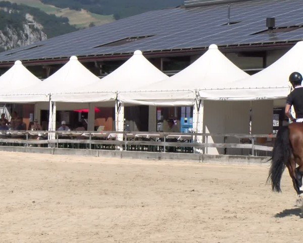 Reitturnier Balsthal 2025