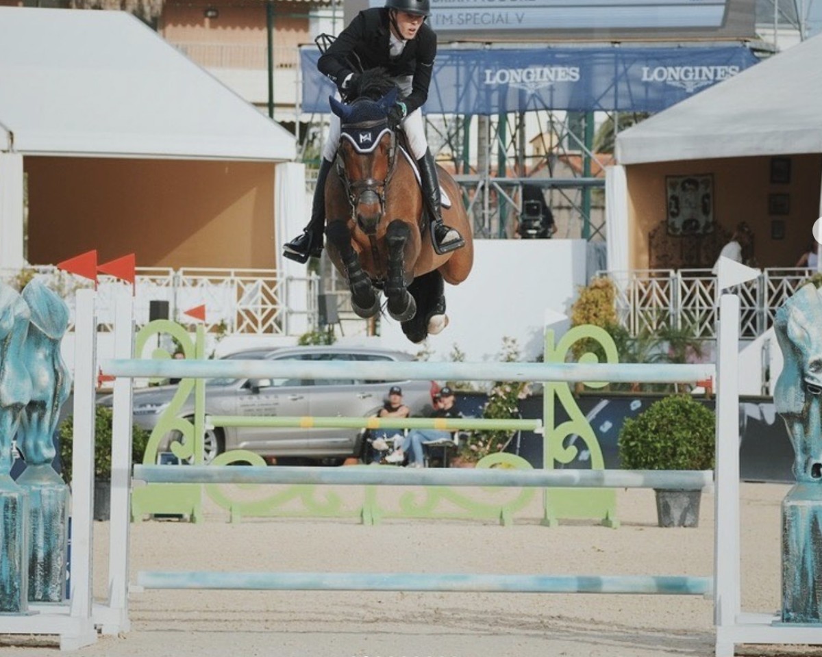 Springpferd I'm Special V (KWPN (Niederländisches Warmblut), 2013, von I'm Special de Muze)