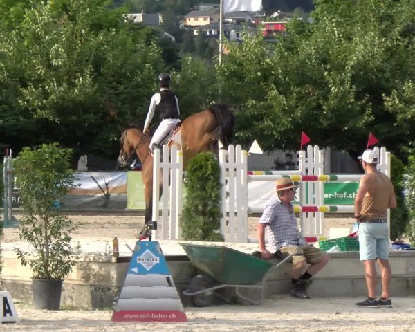 Reitturnier Balsthal 2025