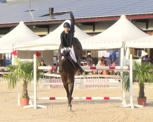 Reitturnier Balsthal 2025