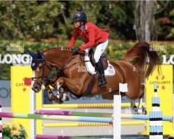 Springpferd Hera Fbh (KWPN (Niederländisches Warmblut), 2012, von Comme il Faut)