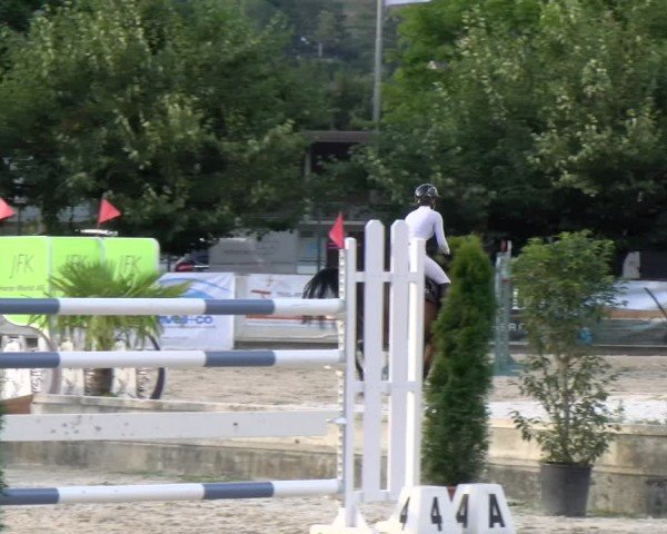 Reitturnier Balsthal 2025